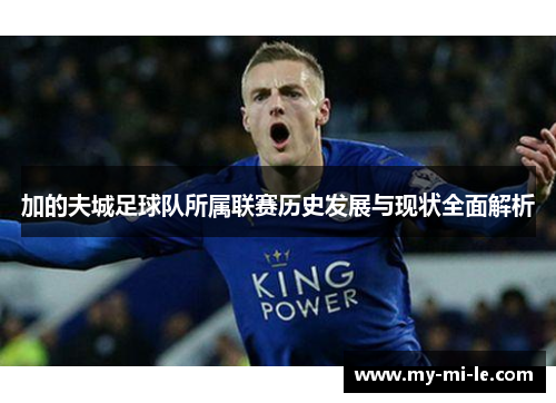加的夫城足球队所属联赛历史发展与现状全面解析