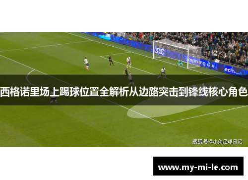 西格诺里场上踢球位置全解析从边路突击到锋线核心角色