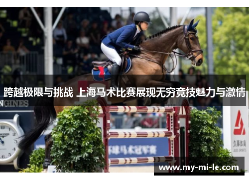 跨越极限与挑战 上海马术比赛展现无穷竞技魅力与激情