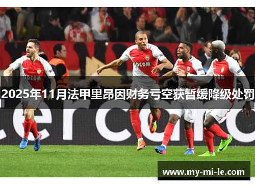 2025年11月法甲里昂因财务亏空获暂缓降级处罚
