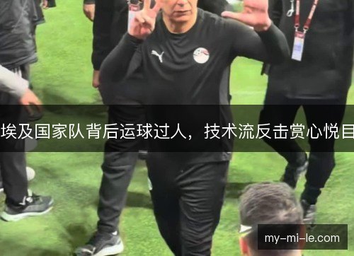 埃及国家队背后运球过人，技术流反击赏心悦目