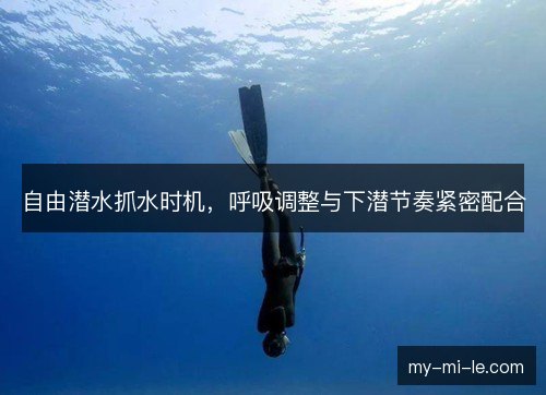 自由潜水抓水时机，呼吸调整与下潜节奏紧密配合