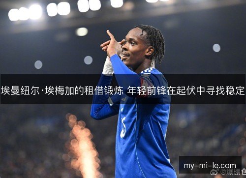 埃曼纽尔·埃梅加的租借锻炼 年轻前锋在起伏中寻找稳定 埃曼纽尔·埃梅加的租借锻炼 年轻前锋在起伏中寻找稳定